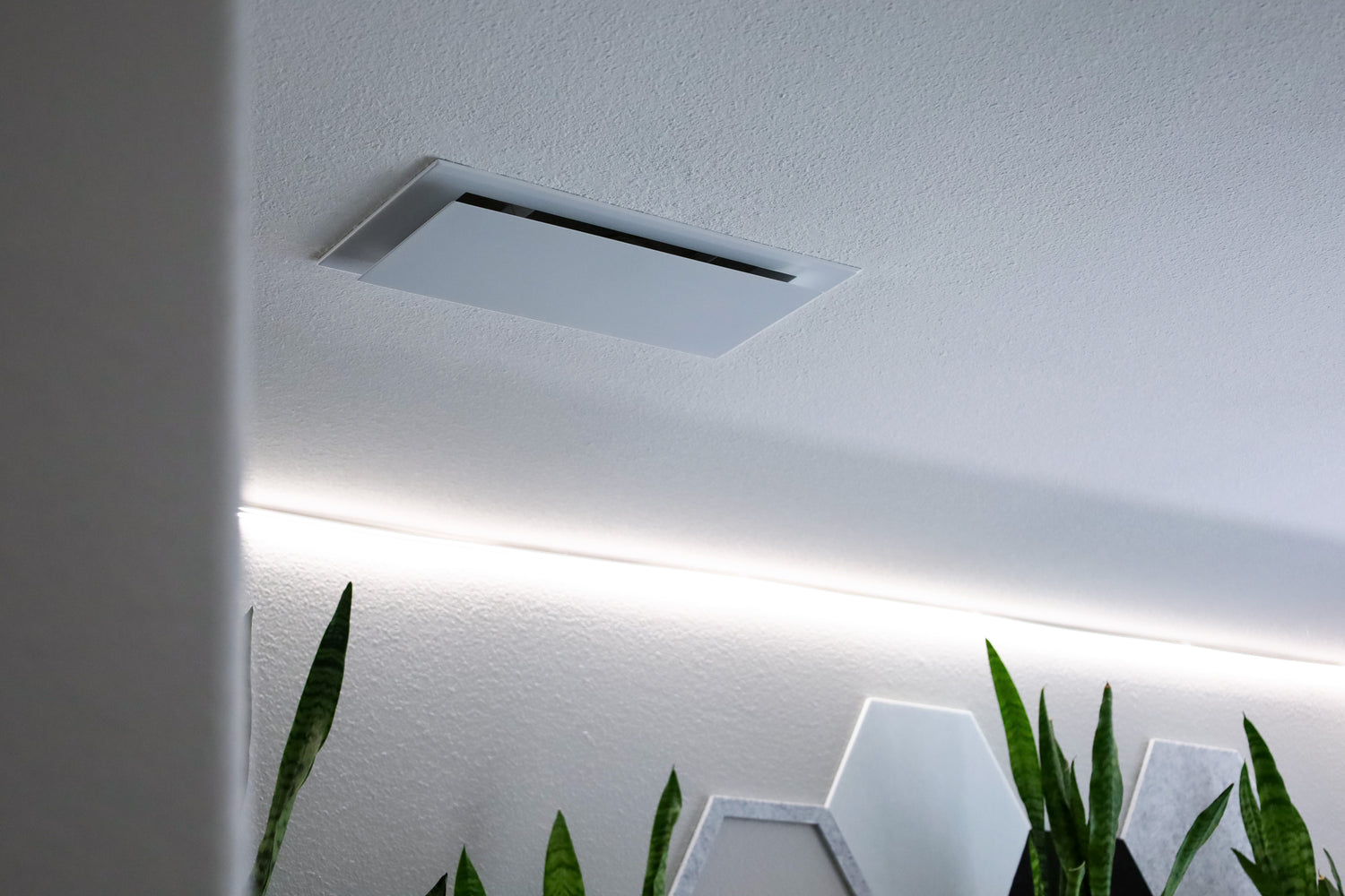 Levitate the Details